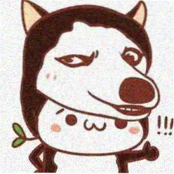 猪猪影视用户头像